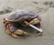 IMG_6747.jpeg IMG_6747.jpeg
