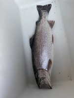 IMG_1810.jpeg