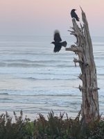 IMG_3817.jpeg