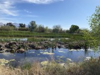 B00SweetwaterRegionalPark9399.jpg