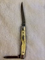 IMG_0981.jpeg