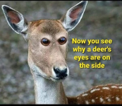 1744948202013.png