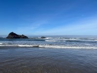IMG_3784.jpeg IMG_3784.jpeg
