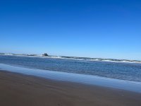 IMG_3742.jpeg IMG_3742.jpeg
