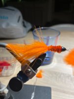 IMG_3775.jpeg IMG_3775.jpeg