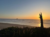 IMG_3774.jpeg IMG_3774.jpeg