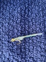 IMG_5244.jpeg IMG_5244.jpeg