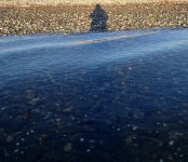 IMG_1819.jpeg