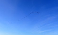 IMG_1826.jpeg