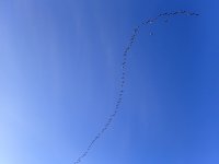 IMG_1828.jpeg