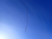 IMG_1829.jpeg