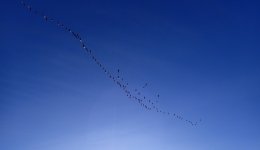 IMG_1830.jpeg