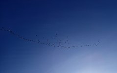 IMG_1831.jpeg
