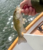 IMG_0609.jpeg IMG_0609.jpeg