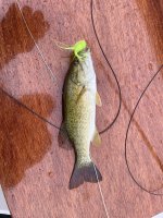 IMG_1932.jpeg