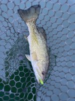 IMG_1924.jpeg