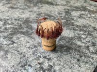 IMG_0669.jpeg