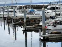 IMG_1866.jpeg