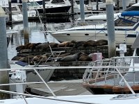 IMG_1864.jpeg
