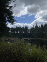 IMG_3857.jpeg