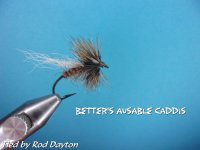 Better's Ausable Caddis.jpg