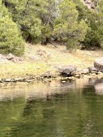 IMG_6123.jpeg IMG_6123.jpeg
