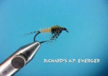 Richard's A.P. Emerger.jpg