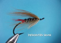 Deschutes Skunk.jpg