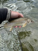 IMG_1912.jpeg IMG_1912.jpeg