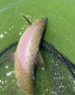IMG_1077.jpeg