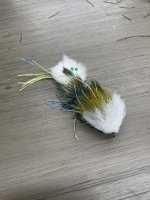 IMG_1097.jpeg IMG_1097.jpeg