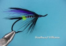 Steelhead Williams.jpg