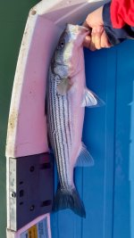 IMG_3918.jpeg