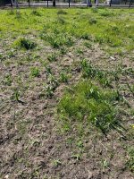 IMG_3839.jpeg