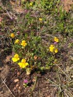 IMG_8885.jpeg