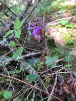 IMG_8879.jpeg