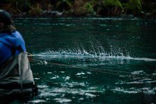 33552B80-803C-4D14-9D9A-ADBBA625F7E3_1_105_c.jpeg