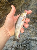 IMG_9324.jpeg