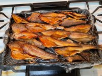IMG_0105.jpeg