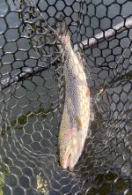 IMG_0640.jpeg