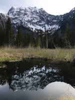 IMG_8917.jpeg