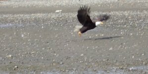 IMG_2022.jpeg IMG_2022.jpeg
