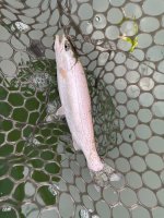 IMG_2006.jpeg
