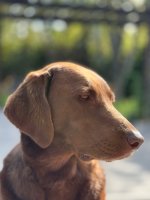 IMG_3037.jpeg