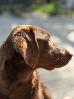 IMG_3029.jpeg