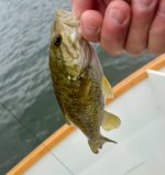 IMG_0658.jpeg