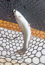 IMG_0654.jpeg