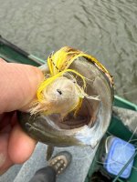 IMG_9343.jpeg