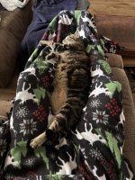 IMG_7532.jpeg
