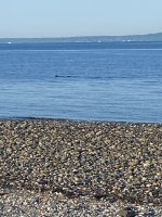 IMG_5259.jpeg